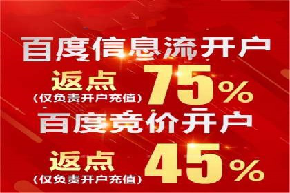 百度推广价格策略：企业成功案例解析